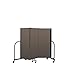 Screenflex CFSL503-DO Commercial Portable Room Divider, 3 Panels