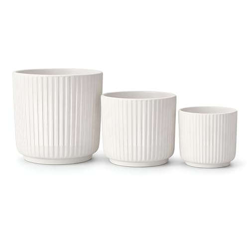 Image of Xtore Studio Ceramic Ribbed Planter Set | Vertical Groove Plant Pots for Home, Office, Balcony & Living Room Decor - (Set of 3, White, Planter ONLY)