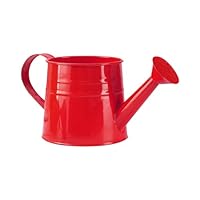 Small Metal Watering Can Outdoor Indoor Watering Can Plants Sprinkler Pot Gardening Tool, Galvanised Water Cans Garden Jug with Sprinkler Rose Head, Ideal for Flowers Houseplants (Red)