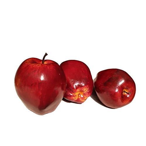 Image of Ulalaza 5Pcs Fake Apple Artificial Fruits Model Lifelike Red Apples Home House Kitchen Party Decoration Desk Ornament