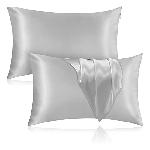 Veaken Silk Pillowcase for Hair and Skin, 2 Pack 100% Mulberry Silk Pillowcase 25 Momme, 600 Thread Count, Both Side Pure Silk Pillow Cover with Hidden Zipper (Gray, Queen 20''×30'')