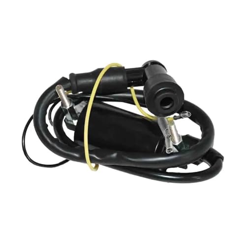 Bobine d'allumage pour KLF300 1986-2004 pièce de rechange quad