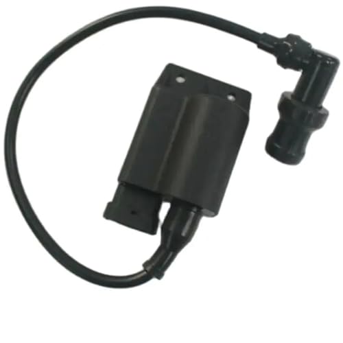 Boîtier CDI 99mm haute stabilité et bobine d'allumage pour moteur 50cc 4-Takt 2v