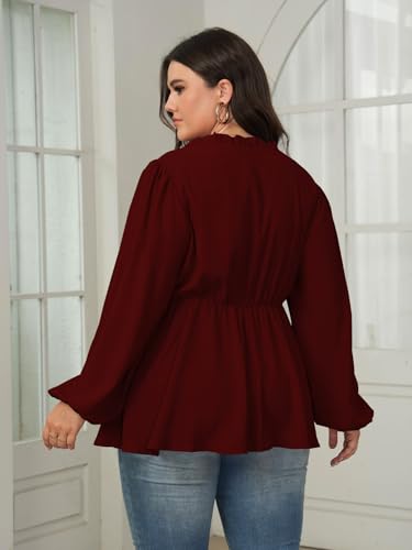 Womens Plus Size Blouse Tops Long Sleeve Tie Front Work Tops Dressy Casual Flowy Ruffle Peplum Tops for Women2