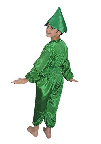 Image of Kaku Fancy Dresses Fruit and Vegetable Costume Paper Cutout with Cap For Kids | Healthy Food Costume For Boys & Girls (Tracksuit Not Included)