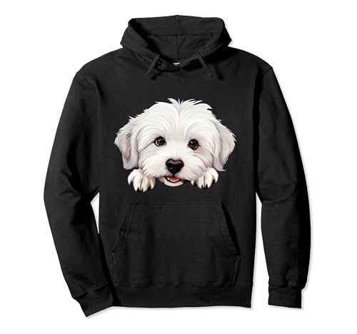 What does a coton de tulear dog look like