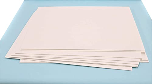 レンブラント　REMBRANT V バラ板ロール紙 レンブラント REMBRANT V バラ板ロール紙 レンブラント REMBRANT V