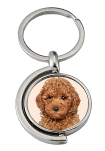PJ4U Miniature Poodle Dog Pet Spinning Double Sided Metal Keyring And Gift Bag