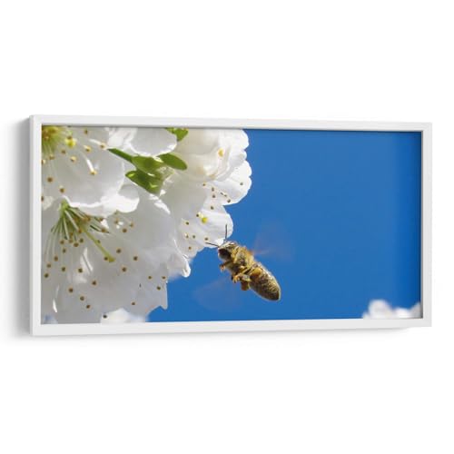 Canvas Lab | The Flight of the Bumblebee | 15