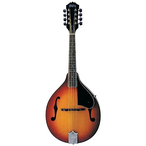 ジャンク　Washburn Americana M3E Sunburst Washburn Americana M3E-PACK Mandolin Pack | Sweetwater