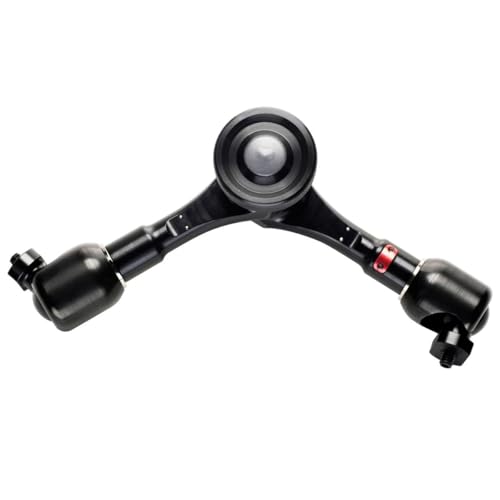 Matthews CtBjeB֐߃A[ \Ȑ[t