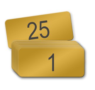 2 inch x 1 inch Numbered Brass Locker Tags (Numbered 1-25)