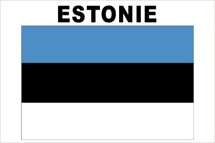 SAFIRMES Estonie 1 x Autocollant 10x15cm Vinyle Sticker Voiture Moto Valise