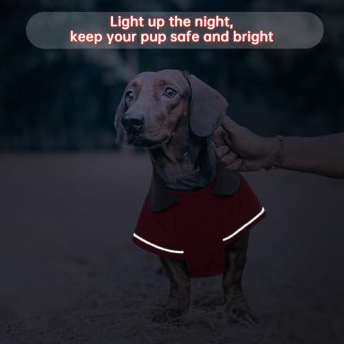 Hjyokuso Hundemantel Dackel, Winddichter Wasserdichter Wintermantel Für Dackel Hunde, Hundejacke Für Große Hunde, Hundemantel Winter Mit Bauchschutz Und Leinenloch, Winterjacken Für Hunde - Rot