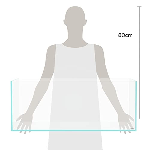 Image of LANDEN 90S 39 Gallon Shallow Tank Rimless Low Iron Tank 35.4 inch L x 19.7 inch W x 14.2 inch H (90cm x 50cm x 36cm); 10mm Thickness Aquascape Fish Tank, Black Leveling Mat Included