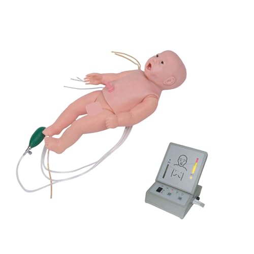 IȐVŌV~[V̗KɓKx̗c CPR эxȃPA g[jO }lLVPA V~[^[