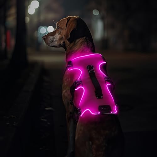 Jewyow Pettorina per cani con luce a 3 punti, per cani di taglia media e grande, ricaricabile a LED, con 4 cinghie regolabili, 3 modalità, impermeabile per passeggiate notturne, pioggia, rosa, M