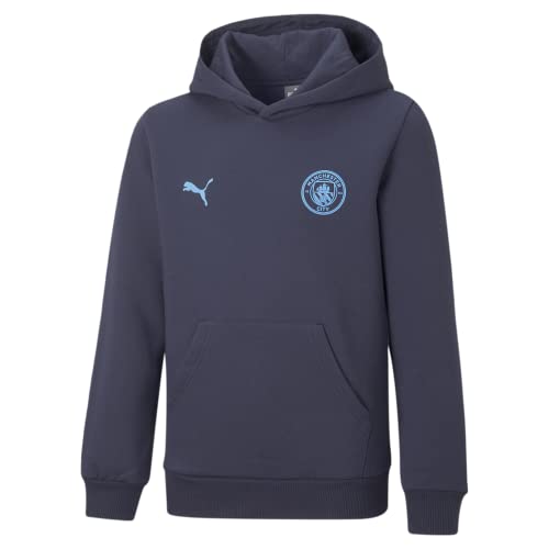 PUMA Manchester City Essentials Kids Hooded Sweat