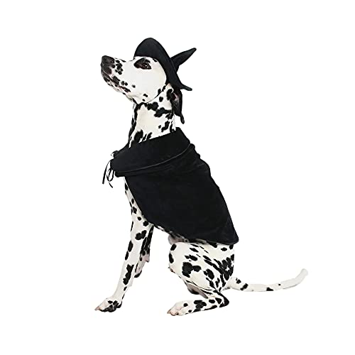 Disfraz de bruja Halloween para perro talla Large miniatura 5