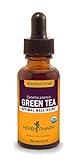 HERB PHARM Green Tea Herb Glycerite, 2 Pounds (GLGTEA01), 1 Fl Oz (Pack of 1)