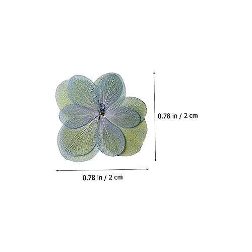 Flores secas prensadas PRETYZOOM 30 piezas para manualidades miniatura 4