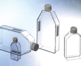 658190 CELLSTAR Polystyrene Standard Suspension Culture Flask, 250 mL Volume, Sterile, Canted Neck with White Plug Seal Screw Cap (Pack of 120)