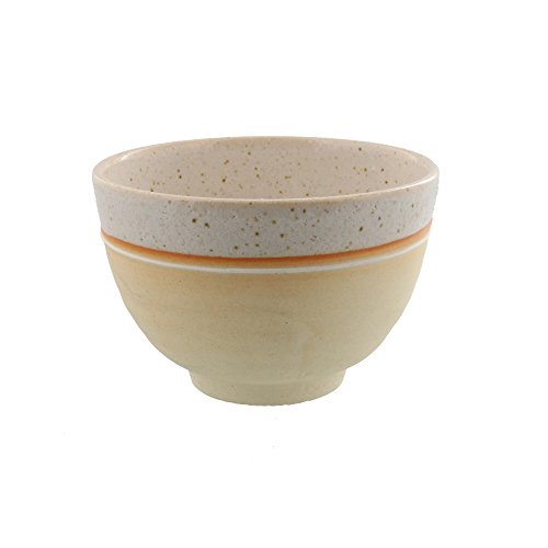 テーブルウェアイースト 抹茶茶碗 焼きしめ一珍 信楽焼 茶道具 化粧箱入り 550cc