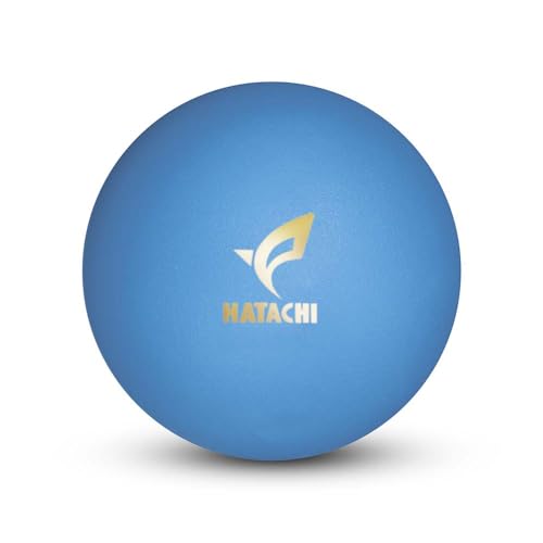 yz HATACHI 2024NŐV EB4 OEhSt 3s[X {[ | HH n^` OhSt z[C ᔽ v[g ̓ ̓ hV̓ (u[)