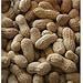 Wingfield Farm 25 Pound Virgin In Shell Raw Peanuts (Two 25lb Bag)