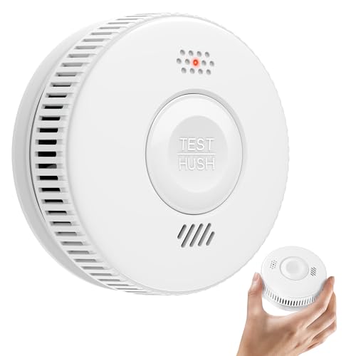 Hathephs S100A-CR Rauchmelder 10 Jahre 1 Stück