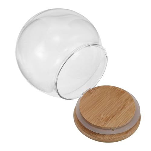 TOYANDONA Kit Bola de Nieve DIY con Cúpula de Cristal Transparente 8,5 Cm, Base de Madera Resistente, Globo Redondo para Manualidades, Decoración Navideña y Exhibición en Hogar