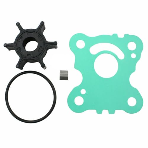 Turbine de pompe à eau pour moteur Honda BF20D assurant un flux constant