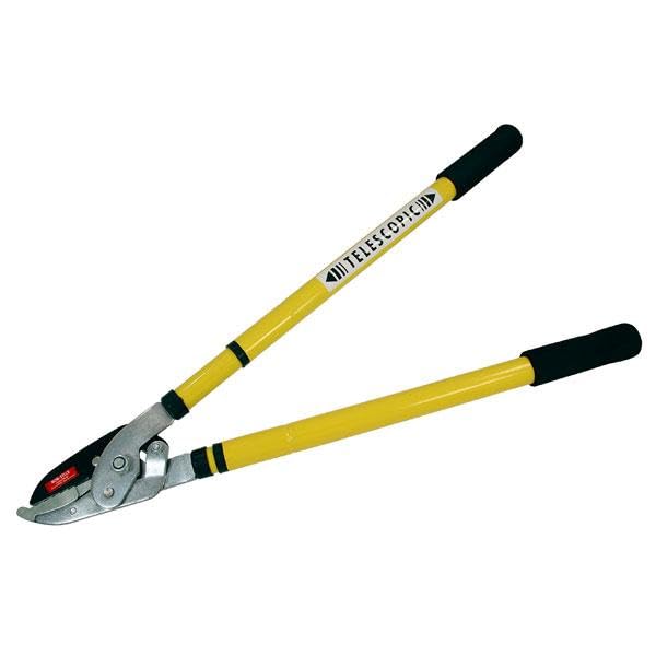 Neilsen CT3461 Ratchet Telescopic Tree Lopper - Extendable Branch Cutter, High Carbon Steel Blades, Comfortable Soft Grip, Cuts Branches with Ease