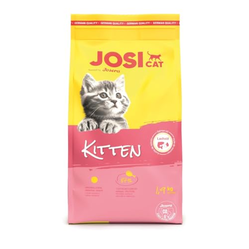 Image of JosiCat Kitten Junior Premium Dry Food for Growing and Carrying (1.9kg x 3) & Lactating Cats with High Energy Content & Valuable Salmon Oil & Vitamins Powered by Josera