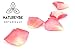 Naturevibe Botanicals 100% Pure & Natural Organic Rose Petal Powder, 8 Ounces | [Packaging May Vary]