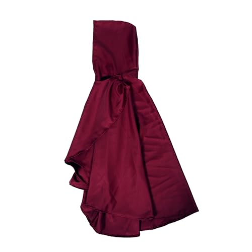 Manteau à capuche Healvian rouge en polyester style Renaissance pour hommes