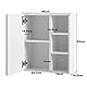 TUKAILAI Spiegelschrank Bad mit Beleuchtung, Badschrank mit Spiegel mit 3 Offenes Ablagen, Badezimmerschrank mit Verstellbarer Ablagen für Badezimmer 45 x 17 x 52 cm