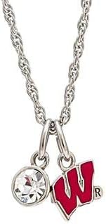 Stone Armory Collar con dije de la Universidad de Wisconsin Collar de Wisconsin Joyería oficial de la Universidad de Wisconsin Joyería de
