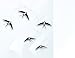 5 Flying Swallows Hanging Mobile - 24 Inches - High Quality Cardboard - Handmade in Denmark by Flensted