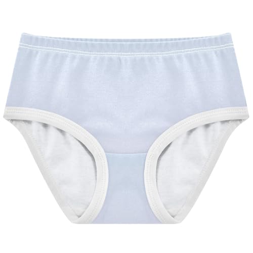 Joisal Blue Lavender Gradient Toddlers Underwear Floral 2t Cotton Panties for Girl Aesthetic Underpants Briefs