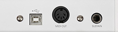 Midiplus X2 mini の商品画像 1