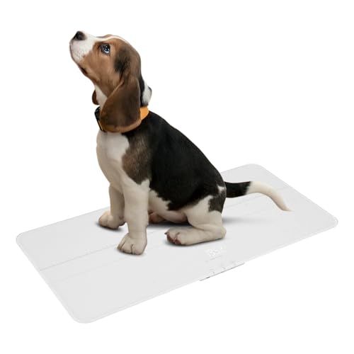 Xigner Pèse-chien numérique pour grands chiens et chats - Charge maximale : 100 kg - Précision : 10 g - Affichage LCD - 3 modes de pesée - Rechargeable par...