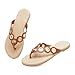 FUNKYMONKEY Women's Circular Rivets Flip Flops Summer Slip On Fashion Thong Sandals for 2025(10 M US, Brown)