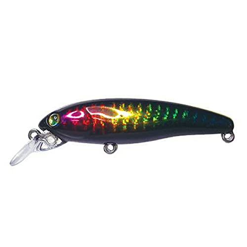 月虫66浮　新品×9 中古×1 北海道限定カラーあり ハルシオンシステム 月虫 66」の人気商品一覧 | 安い商品を通販サイト