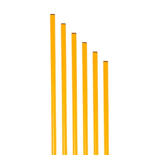Set 6 Picas Entrenamiento PVC Zastor pol-100cm -Amarillas