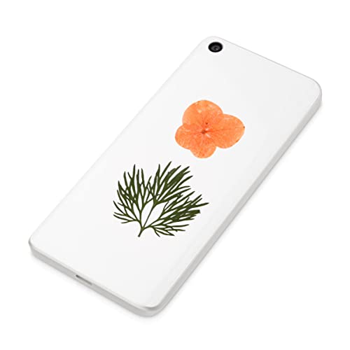 Kit 40 flores secas prensadas naranja para manualidades