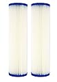 Pack of 2 Watts (WPC20-975) 9.75"X2.75" 20 Micron Pleated Sediment Filters