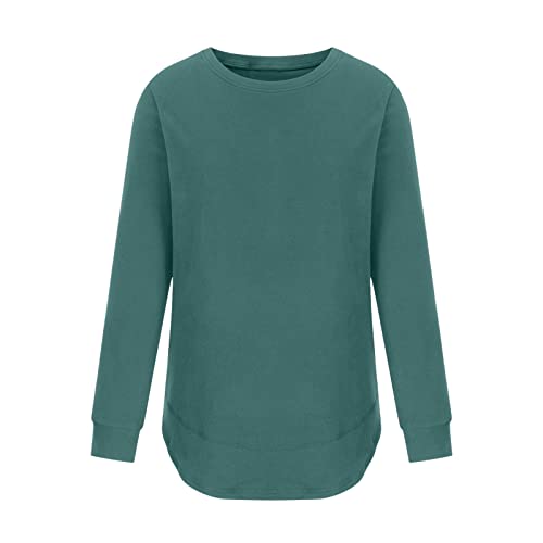 PBNBP Women's Fall Casual Tunic Tops Pullover Crewneck Sweatshirts Long Sleeve Shirts Soft Comfy Stretchy Loose Fit Blouses4