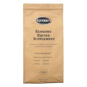 Equerry’s Economy Equine Supplement – Horse Probiotics | Supplement for Horses | Horse Vitamins and Minerals Supplement with Enzymes and Selenium,20lb