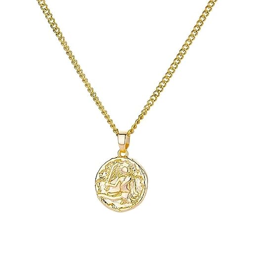 OAKKY Collares zodiacales para Mujer Acero Inoxidable Round Coin 12 Horóscopo Signo Amuleto Gargantilla Colgante Virgo | Ya disponible en tu tienda friki favorita! En mundofriki.es!
